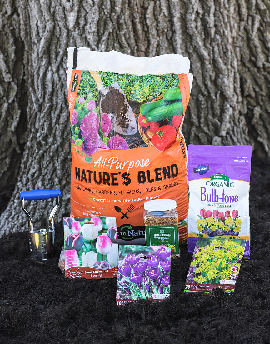 Planting Hardy Bulbs in the Fall Season