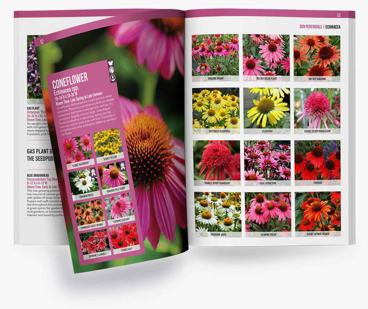 Tree Catalogs Perennials – Family Tree Nursery