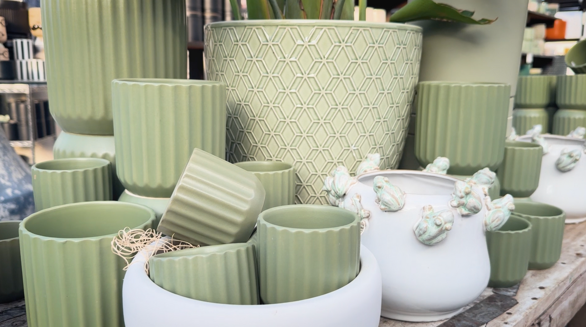 Unique Tree Pot Pots & Planters – Family Tree Nursery