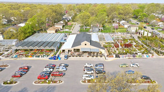Family Tree Nursery Shawnee