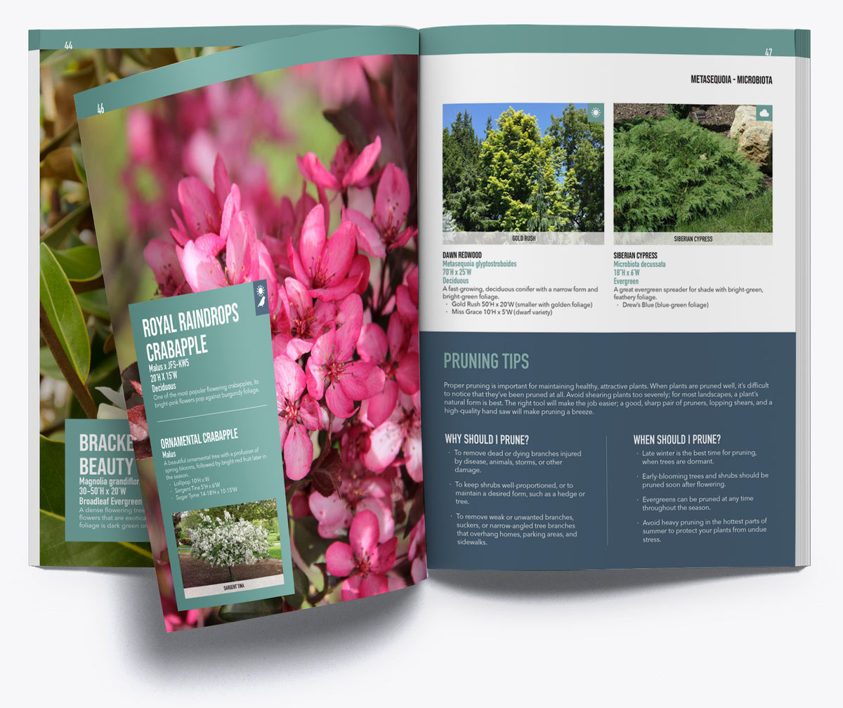 Tree Catalogue.pdf Trees & Shrubs – Family Tree Nursery